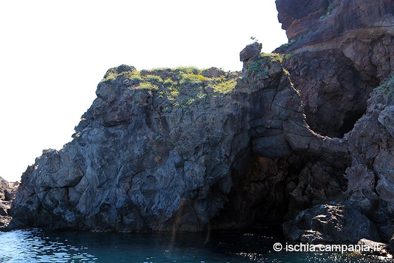 Calette segrete e grotte di Ischia raggiungibili in gozzo — 3